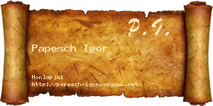 Papesch Igor névjegykártya